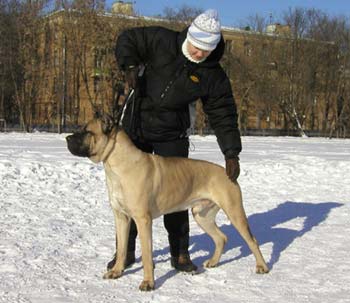 Мне 1год и 6 месяце